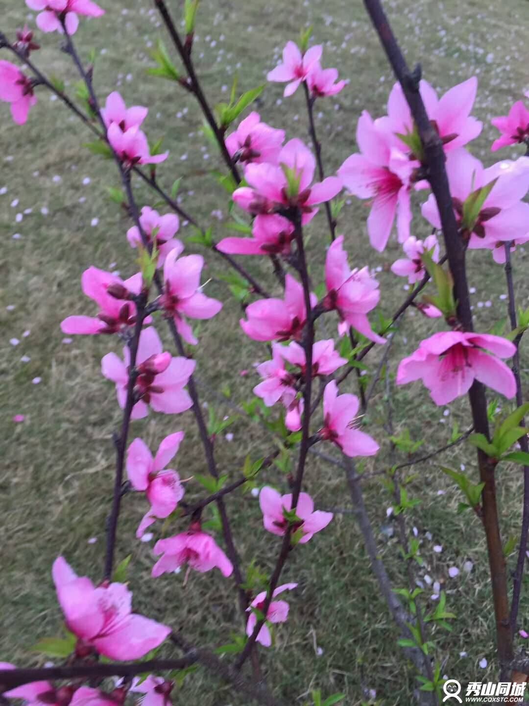 wechat_upload15212560505aac8672c78fc