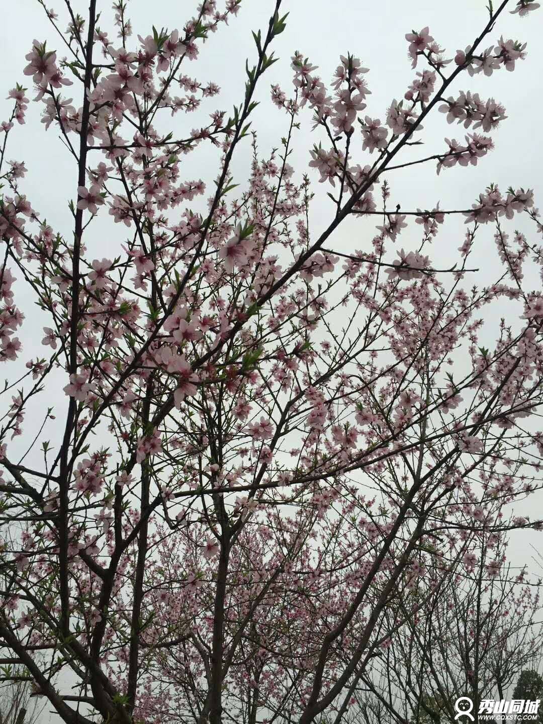 wechat_upload15212560515aac8673550db